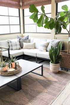 a living room with couches, tables and plants on the floor in front of large windows