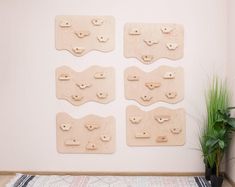 four pieces of wood are arranged on the wall near a potted plant and rug