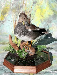 three ducks are sitting on top of a wooden box with plants and grass in it