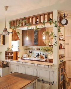 a kitchen filled with lots of wooden cabinets and counter top covered in potted plants