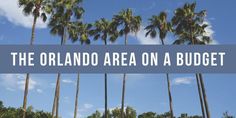 palm trees with the words the orlando area on a budget