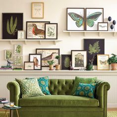 a green couch sitting in front of a wall filled with pictures and framed art on it