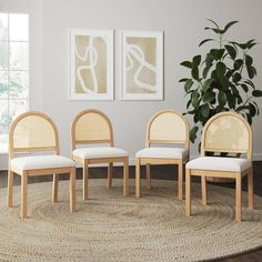 four chairs sitting on top of a rug next to a potted plant