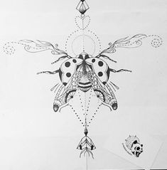 a black and white drawing of a ladybug on a piece of paper with dots