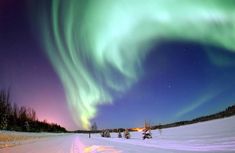 an aurora bore is seen in the night sky over a snow covered road and trees