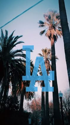 palm trees with the word la in front of them