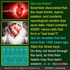 Islamic Teachings, Science Facts, Ideas Quotes