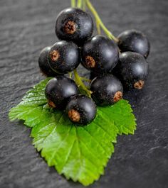 some black berries with green leaves on a table