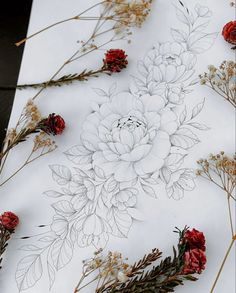 some flowers and plants on a white surface