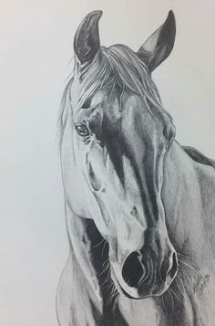 a pencil drawing of a horse's head with its mouth open and eyes closed