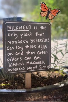 a sign that is on top of a potted plant with a butterfly flying over it