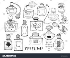 hand drawn perfume bottles and flowers with the words perfume written in black ink on a white background