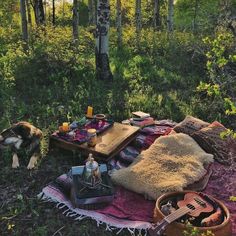 a dog is laying on a blanket in the woods next to some food and other items