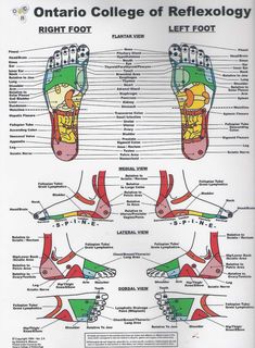 living with pancreatitis Sigmoid Colon, Pituitary Gland, Right To Education, Fallopian Tubes, Women Health Care