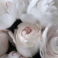 white peonies and other flowers are arranged together