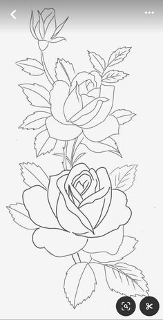 a flower with leaves and flowers on it, in the middle of a line drawing