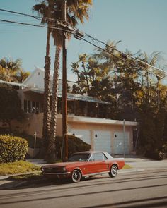 a red car parked in front of a palm tree on the side of the road