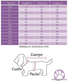 the size and measurements of a dog