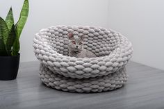 a cat sitting in a ball shaped bed next to a potted plant on top of a wooden table