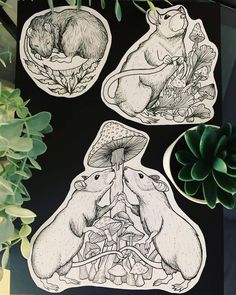 three stickers with animals and mushrooms in them on a table next to a succulent plant