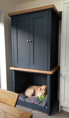 a dog laying on top of a bed under a cabinet