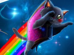 a cat is flying through the air with a rainbow in its mouth and on it's back