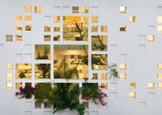 a white building with many windows and plants in the window sill, all lit up at night