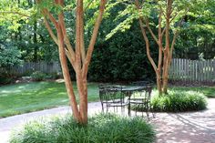 a table and chairs in the middle of a garden with trees, grass and bushes