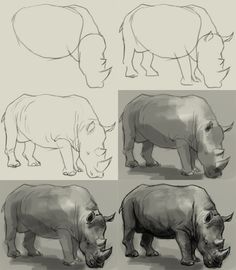 some rhinos are shown in different poses