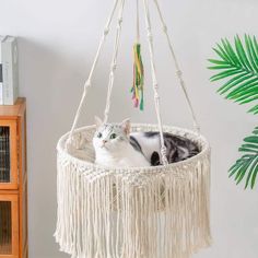 a cat is laying in a macrame style hammock with tassels