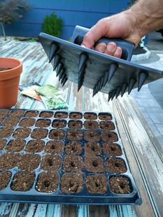 a person is using a garden tool to trim potted plants on a wooden table