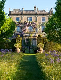 a large house surrounded by lush green trees and purple flowers in the foreground is a path leading to it