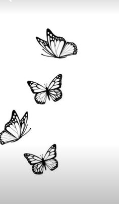 three butterflies flying in the air