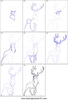 how to draw a deer with different poses and head shapes for each character in the game