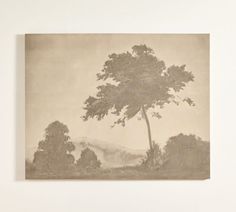 a drawing of a tree with mountains in the background and foggy sky behind it