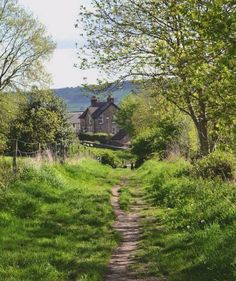 a dirt path in the middle of a lush green field with trees and houses on either side