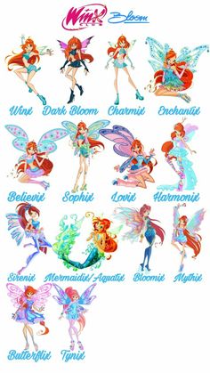 the many different types of tinkerbells are shown in this image, with their names