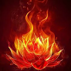 Lotus Flower On Fire Tattoo, Fire Lotus Tattoo, Mystical Flowers Fantasy Art, Flying Phoenix Tattoo, Most Beautiful Tattoos, Red Lotus Flower, Black Paper Background, Small Phoenix Tattoos, Super Powers Art