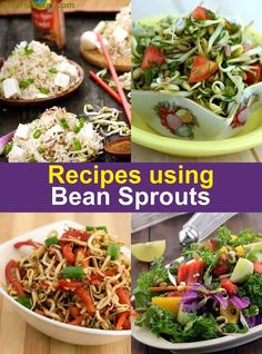 several different types of food on plates with the words recipes using bean sprouts