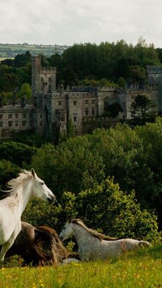 two horses are running in the grass near some trees and bushes with a castle in the background