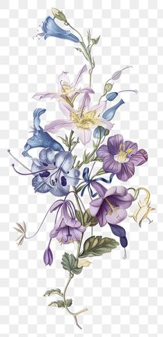 purple and blue flowers with green leaves on the stems, transparent background png clipart