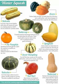 a poster showing different types of fruits and vegetables