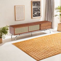 a living room with a rug, plant and pictures on the wall