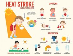 Download this Premium Vector about Heat stroke risk sign and symptom and prevention infographic, illustration., and discover more than 15 Million Professional Graphic Resources on Freepik Types Of Strokes, Loss Of Balance, Infographic Illustration, Strengthening Exercises, Signs And Symptoms, Beat The Heat, Neck Pain, Warning Signs, Headache