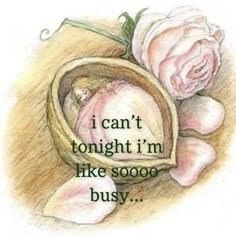 a drawing of a pink rose with the words i can't tonight i'm like soooo busy