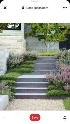 an image of a garden with steps and plants