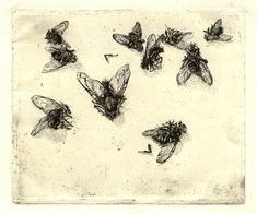 a group of bees sitting next to each other on top of a piece of paper