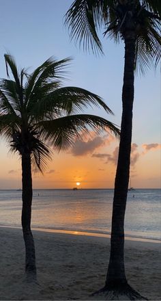 two palm trees on the beach at sunset