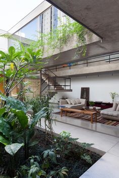 an outdoor living area with plants and couches