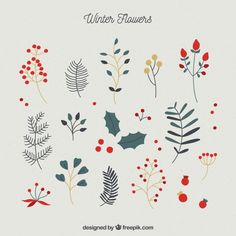 various winter flowers and leaves with red berries on the stems, green leaves and other plants